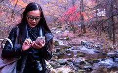 丝瓜草莓秋葵污下载旧APP大全